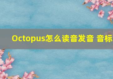 Octopus怎么读音发音 音标